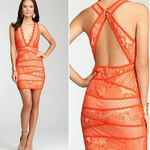 knee length dresses for ladies Joelle Lace Dress
